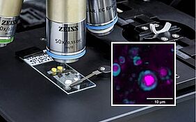 Arbeitskreis Polymeranalytik